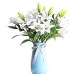 Análisis comparativo de los 5 mejores productos asiáticos inspirados en la elegante flor de lirio