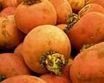Los mejores nabos amarillos asiáticos: Análisis y comparativa de productos de calidad