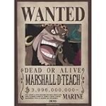 Análisis y comparativa: ¿Cuál es el mejor producto asiático inspirado en One Piece Blackbeard?