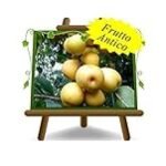 Análisis y comparativa de las mejores variedades de nashi fruta: ¡Descubre la delicia asiática que debes probar!