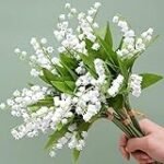 Análisis detallado: Descubre cómo es la flor lirio en la cultura asiática