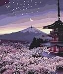 Análisis del Número Japonés: Descubre los Mejores Productos Asiáticos